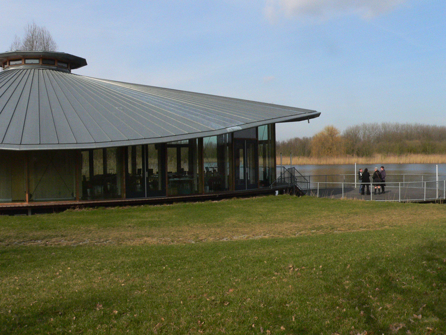 Waterlely-7-3-09-003-web